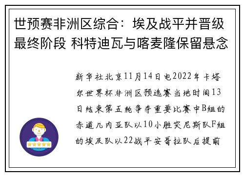 世预赛非洲区综合：埃及战平并晋级最终阶段 科特迪瓦与喀麦隆保留悬念
